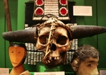 Skull taken from Yungya Village, Nagaland at the Pitt Rivers Museum in Oxford (© Einsamer Schütze, CC BY-SA 3.0)