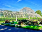 Kew Gardens' recently renovated Palm House