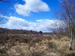 Breathe in fresh air in Sutton Park the 7th largest urban park in the European continent.