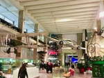 The Science Museum's Making the Modern World gallery