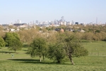 A panorama of Primrose Hill, showing the skyline of London (© Berrely from Primrose Hill, CC BY-SA 2.0)