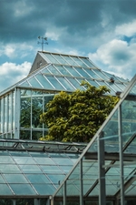 The glass greenhouse at the Cambridge University Botanic Gardens