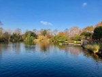 The picturesque boating lake in the west section of Victoria Park
