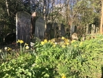 Tower Hamlets Cemetery Park is a small forest in the middle of the East End