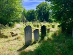 Tower Hamlets Cemetery Park, an oasis of calm, is found about 30 minutes' walk from Canary Wharf