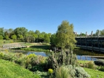 One of the beautiful ponds in Mile End Park