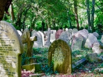 Tranquil woodlands provide a good place for reflection in Highgate Cemetery