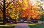 Autumn foliage in Oxford's Botanic Garden (© Toby Ord, CC BY-SA 2.5)