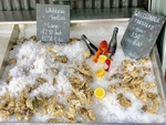 Whitstable oysters on sale from a beachfront stall