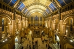 The central hall of the Natural History Museum - London (© jhlau, CC BY 2.0)